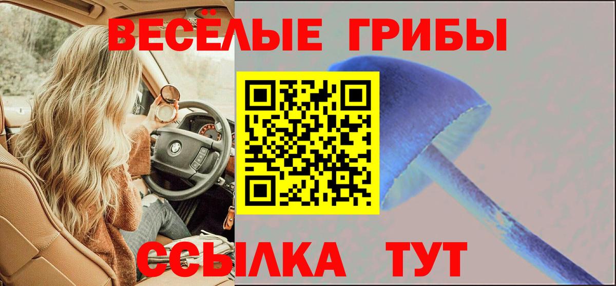 Псилоцибиновые грибы Cubensis Гусиноозёрск
